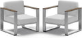 2 Pieces Outdoor Aluminum Armchair, Modern Patio Patio Furniture by ComfCove