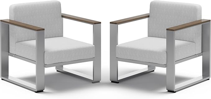 2 Pieces Outdoor Aluminum Armchair, Modern Patio Patio Furniture by ComfCove