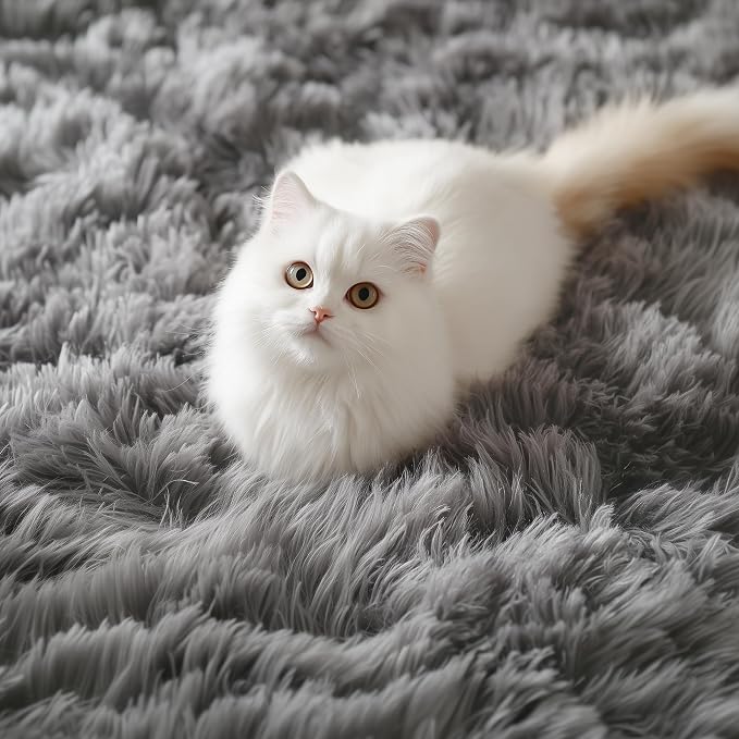 PAGISOFE Grey Fluffy Rugs for Bedroom 4x6 Area Rug Shag Rug for Kids Room Furry - Image 9