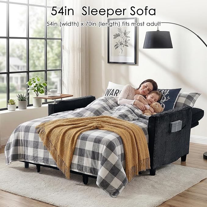 Sleeper Sofa Bed, Guest Room - Image 3